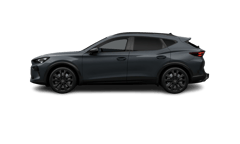 Beispielbild eines Cupra Formentor