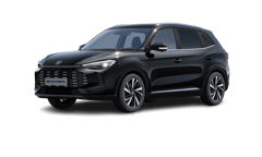 Beispielbild eines MG ZS