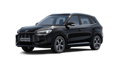 Beispielbild eines MG ZS