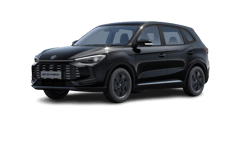 Beispielbild eines MG ZS