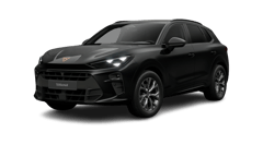 Beispielbild eines Cupra Terramar