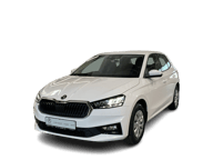 Beispielbild eines Skoda Fabia