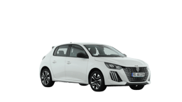 Beispielbild eines Peugeot 208