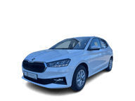 Beispielbild eines Skoda Fabia