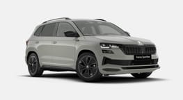 Beispielbild eines Skoda Karoq