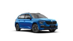 Beispielbild eines Skoda Kamiq