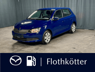 Beispielbild eines Skoda Fabia