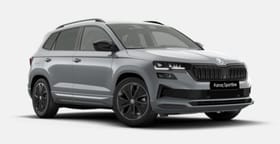 Beispielbild eines Skoda Karoq