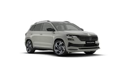 Beispielbild eines Skoda Karoq