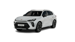 Beispielbild eines Cupra Terramar