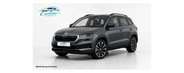 Beispielbild eines Skoda Karoq