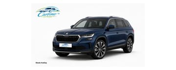 Beispielbild eines Skoda Kodiaq