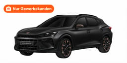 Beispielbild eines Cupra Formentor