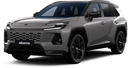 Toyota RAV4 in Grau