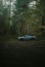 Graues SUV auf einem Waldweg