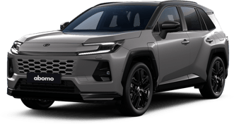 Toyota RAV4 in Grau
